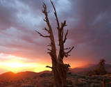 Timescapes Timelapse: Mountain Light