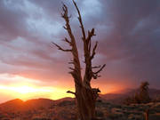 Timescapes Timelapse: Mountain Light