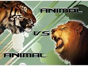 Animal Face-Off