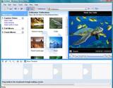 Windows Live Movie Maker