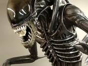 Alien 5